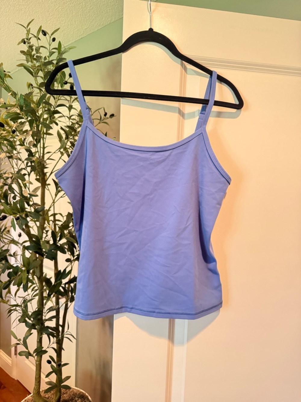 Aritzia Essential Tank